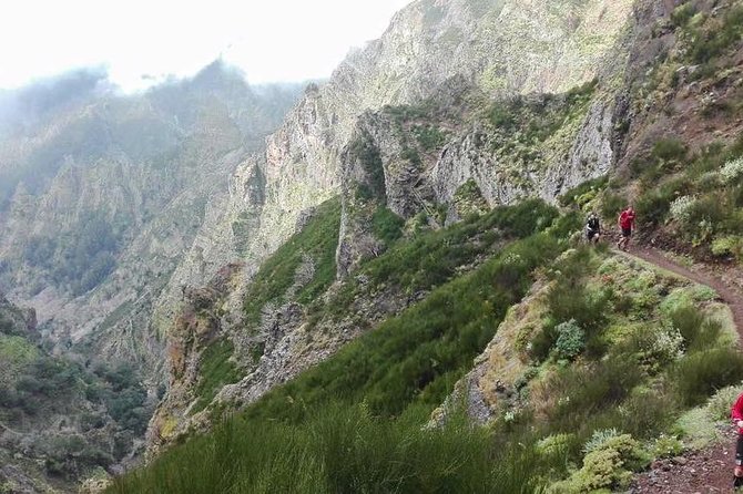 Hike Larano, Boca Do Risco Porto Da Cruz Levada In A Small Group Tour Overview