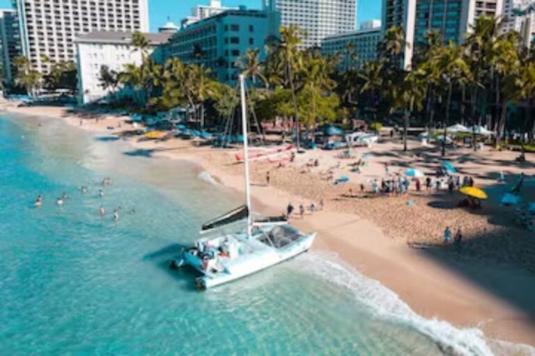 Honolulu: Marine Life Boat Tour On Waikiki Catamaran Charter Tour Overview