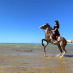 Horse Riding Tour 2 Hours Sea And Desert With Transfer Hurghada Tour Overview