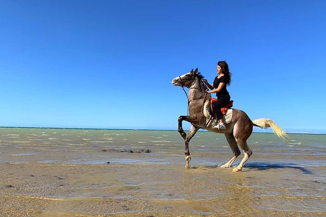 Horse Riding Tour 2 Hours Sea and Desert With Transfer - Hurghada - Tour Overview