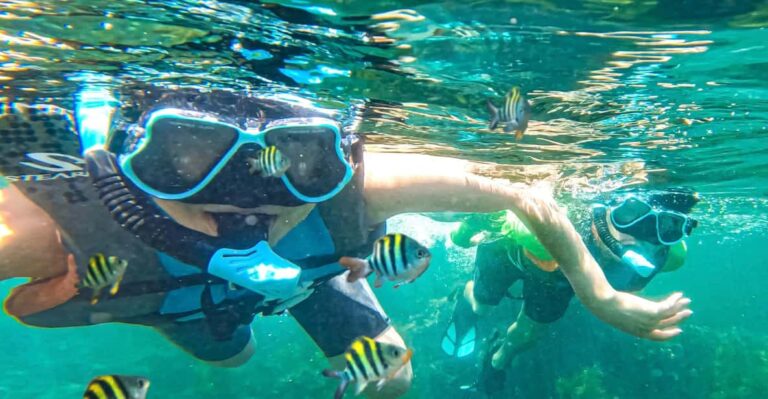 Japan: Snorkeling Adventure On A Boat Activity Overview