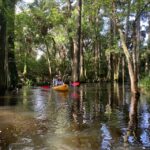 Jupiter: Loxahatchee River Scenic Kayak Tour Tour Overview