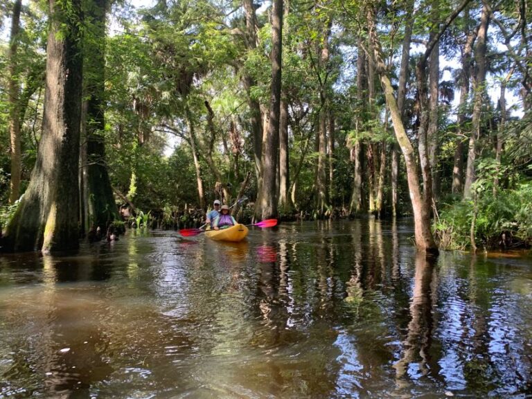 Jupiter: Loxahatchee River Scenic Kayak Tour Tour Overview