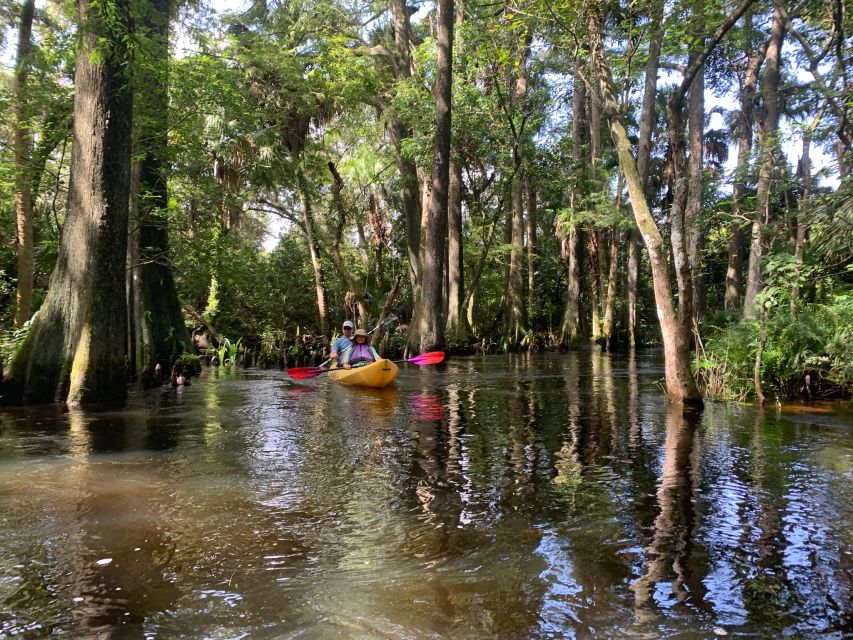 Jupiter: Loxahatchee River Scenic Kayak Tour - Tour Overview