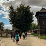 Krakow: Auschwitz Birkenau And Wieliczka Salt Mine Day Trip Tour Overview