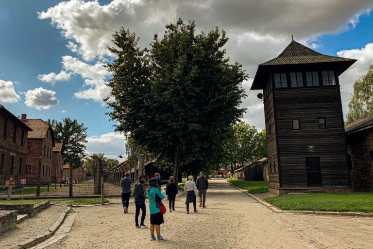 Krakow: Auschwitz Birkenau And Wieliczka Salt Mine Day Trip Tour Overview