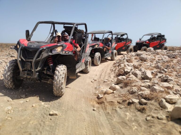 Lanzarote: Guided Can Am Trail Buggy Tour Activity Overview