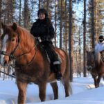 Levi: Snowy Forest Ride And Polar Lights Tours Tour Details