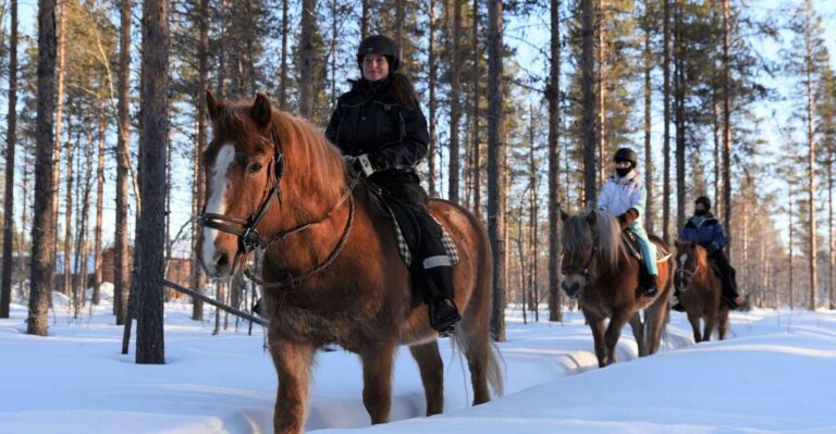 Levi: Snowy Forest Ride And Polar Lights Tours Tour Details