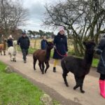 Loch Ness: Full Day Private Tour With Alpaca Adventure Tour Highlights