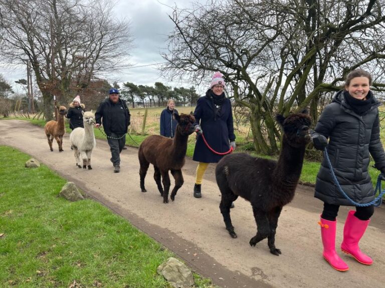 Loch Ness: Full Day Private Tour With Alpaca Adventure Tour Highlights