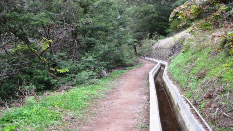 Madeira: Private Hike From Levada Do Caniçal To Machico Tour Overview