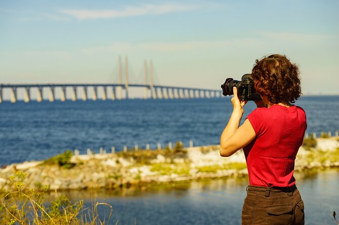 Malmö Private Tour With Swedish Lunch From Copenhagen by Train - Highlights of the Tour