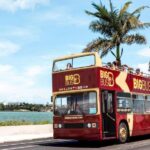 Miami: Wynwood Walls Skip The Line & Hop On Hop Off Bus Tour Tour Overview