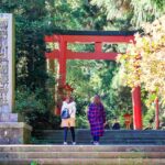 Mt.fuji:hakone Cruise, Ropeway&oshino Hakkai Full Day Tour Tour Overview And Pricing