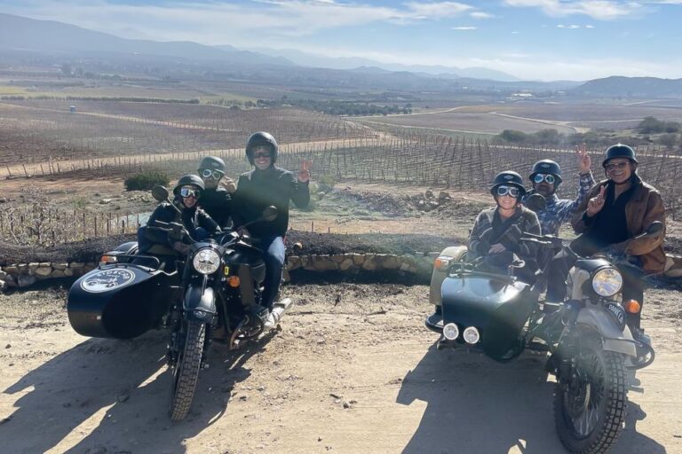 Napa Valley: Private Sidecar Winery Tour Ride In Style