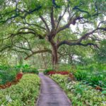 New Orleans: Houmas House Plantation Tour Tour Details And Pricing