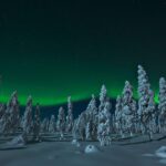 Northern Lights Snowmobile Safari From Rovaniemi With Campfire Picnic Overview Of The Safari