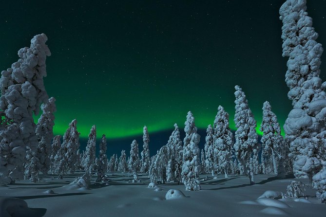 Northern Lights Snowmobile Safari From Rovaniemi With Campfire Picnic Overview Of The Safari