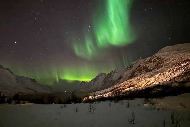 Northern Lights Tour With Hot Food and Drinks in Tromso - Inclusions