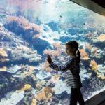 Paris: Aquarium Entry Ticket & Self Guided Eiffel Tower Tour Immersive Underwater Experience