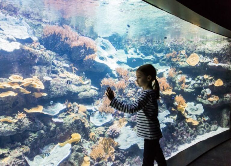 Paris: Aquarium Entry Ticket & Self Guided Eiffel Tower Tour Immersive Underwater Experience