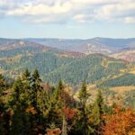 Pieniny Mountains: Hiking And Rafting Tour From Krakow Tour Overview