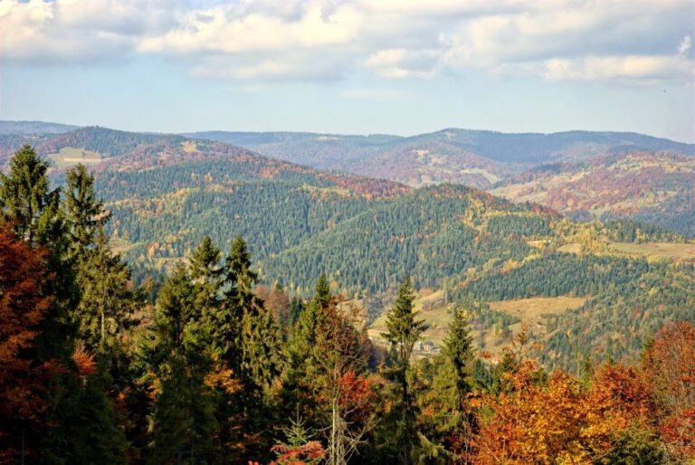 Pieniny Mountains: Hiking And Rafting Tour From Krakow Tour Overview