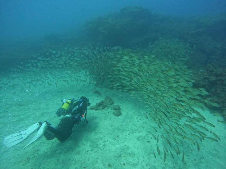 Playa Del Ingles: Discover Scuba Diving Free Transfers Overview Of Discover Scuba Diving