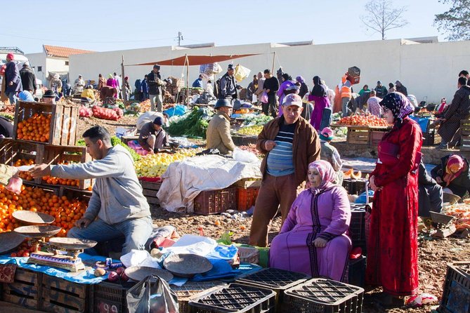 Private Day Trip To Ourika Valley And Atlas Mountains From Marrakech - Hike to the Seven Waterfalls