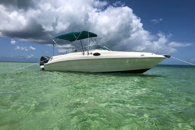 Private Half Day Charter To Stingray City, Starfish Point And Snorkeling Tour Included In The Package