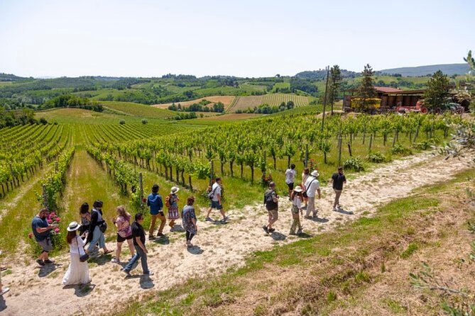 Private Tuscany Tour to Siena and San Gimignano With Winery Lunch - Tour Schedule and Accessibility