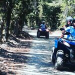 Quad Tour Atv Adventure In Chianti. Lunch And Wine Tasting Tour Description