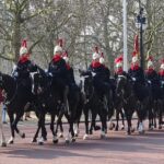 Royal Tour Of St James, Parks, Palaces And Royal Intrigue Tour Overview