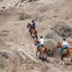 Santorini: Horse Riding Trip To Black Sandy Beach Activity Overview