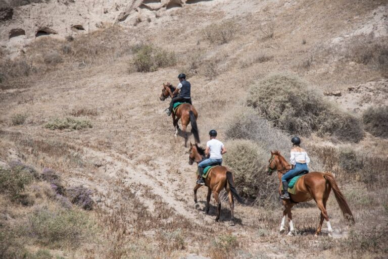 Santorini: Horse Riding Trip To Black Sandy Beach Activity Overview