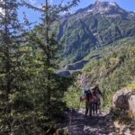 Seward: Guided Wilderness Hike With Transfer Overview And Pricing