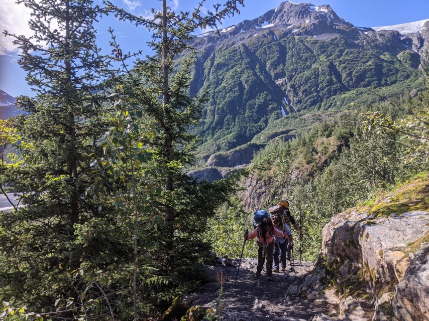 Seward: Guided Wilderness Hike With Transfer - Overview and Pricing