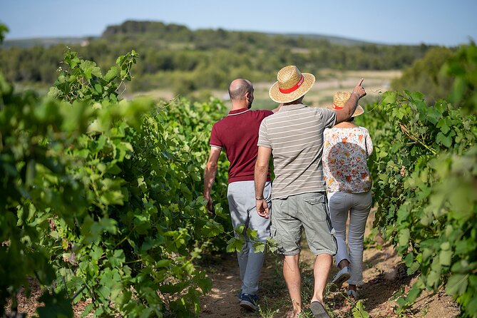 Small-Group Half-Day Châteaux of Montpellier Wine Tour - Tour Overview