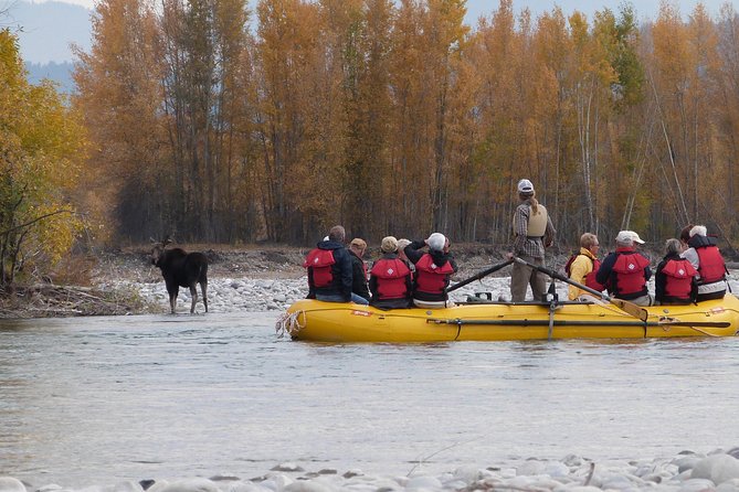 Snake River Scenic Float Trip With Teton Views In Jackson Hole Overview Of The Scenic Float Trip