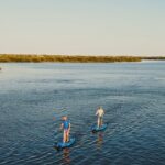 St. Augustine: Standup Pedal Boarding Dolphin Tour Activity Overview