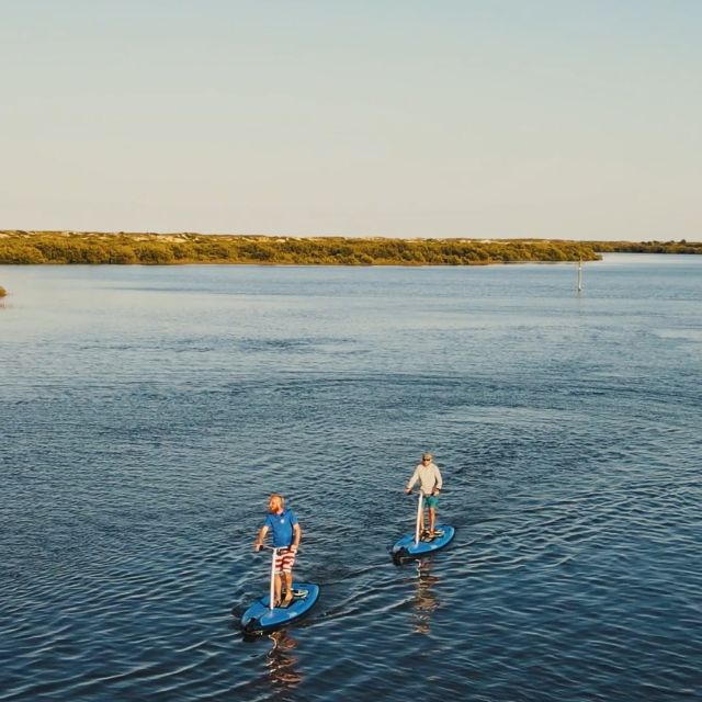 St. Augustine: Standup Pedal Boarding Dolphin Tour Activity Overview