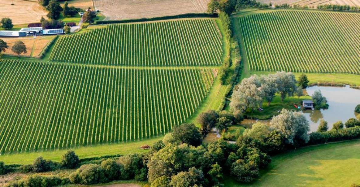 Sussex Vineyard Tour - Tour Overview