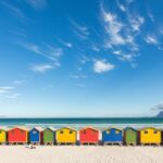 The Road Trip (cape Point And Penguins) Encountering African Penguins