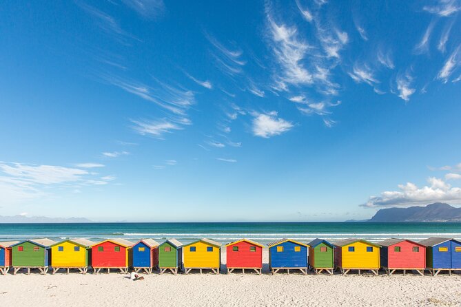 The Road Trip (cape Point And Penguins) Encountering African Penguins