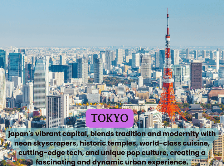 Tokyo Unforgettable Private Tour for Family(Up-To 6 Persons) - Experience and Activities