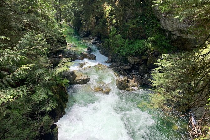 Vancouver Rainforest Hike With Waterfalls, Suspension Bridge, Old Growth Forest - Trip Overview