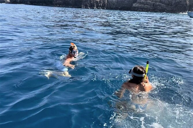 Whale And Dolphin Watching In Tenerife With Snorkeling Meeting And Pickup Details