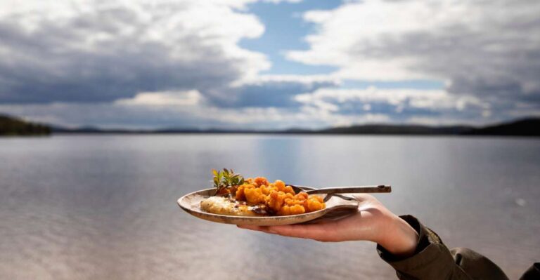 Wild Food & Foraging Hike With Open Fire Lunch In Ivalo Activity Overview