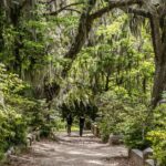 Wormsloe Historic Site & Bonaventure Cemetery Tour From Savannah Tour Overview